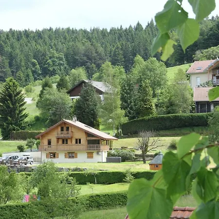 Chalet Centauree - Remy Herold Xonrupt-Longemer Exterior foto