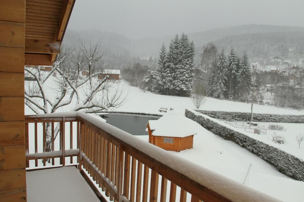 Chalet Centauree - Remy Herold Xonrupt-Longemer
