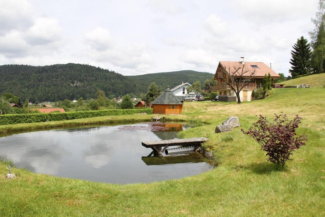 Centauree - Remy Herold Chalet Xonrupt-Longemer