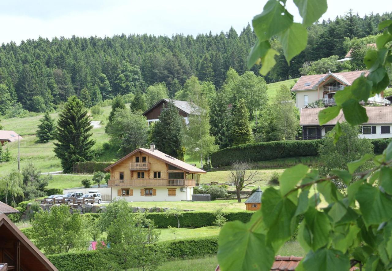 Centaurée - Rémy Herold Chalet